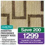 Multi-Flor Assorted Providence Shaggy Rugs