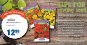 Kirchhoffs Picture Packets Flowers 8-Each