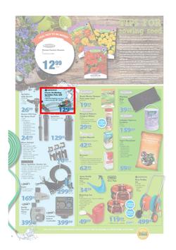 Mica : National Promotion (25 Aug - 06 Sep 2015), page 2