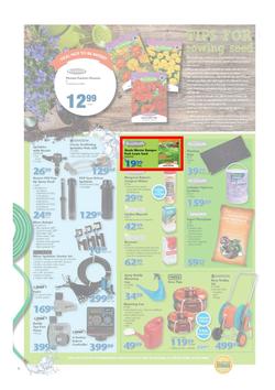 Mica : National Promotion (25 Aug - 06 Sep 2015), page 2
