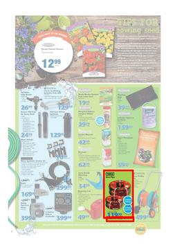 Mica : National Promotion (25 Aug - 06 Sep 2015), page 2