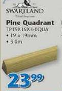 Swartland 3.0m Pine Quadrant-19 x 19mm 