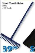 Steel 16-Tooth Rake A006