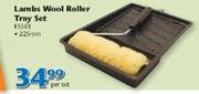 Lambs Wool Roller Tray Set 225mm F5501-Per Set