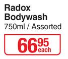 Radox Body Wash-750ml Assorted