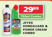 Jeyes Homeguard & Power Cream Combo-750ml