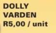 Dolly Varden-100ml