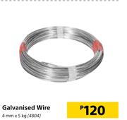 Galvanised Wire 4mm x 5Kg