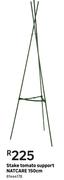 Natcare 150cm Stake Tomato Support
