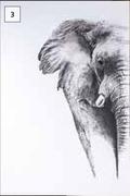 Designhouse Elephant Canvas 900mm x 600mm (Grey)