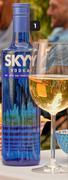 Skyy Imported Vodka-750ml Each