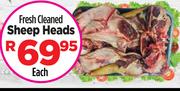 Fresh Cleaned Sheep Heads-Each