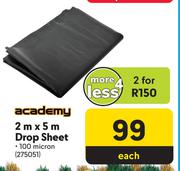 Academy 2m x 5m Drop Sheet-Each