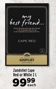 Zandvliet Cape Red Or White-2L Each