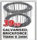 Galvanised Brick Force 75MM x 2MM