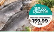 Whole Frozen Norwegian Salmon-Per Kg