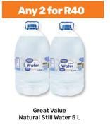 Great Value Natural Still Water-For 2 x 5L