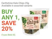 Earth Shine Kale Chips-25g