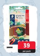 Staedtler 12 Pencil Colour-Per Pack