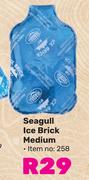 Seagull Ice Brick Medium