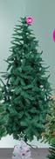 3m Canadian Green Tree CT300G (813583)