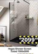 Vegas Shower Screen Tinted-1000 x 2000