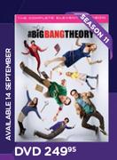 Big Bang Theory Season 11 DVD Series