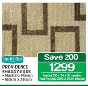 Multi-Flor Providence Shaggy Rugs