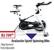 Avalanche spinit best sale indoor bike review