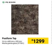 PG Bison Postform Top