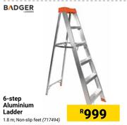 Badger 6-Step Aluminium Ladder