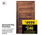 Horizontal Pine Pivot Door
