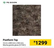 PG Bison Postform Top