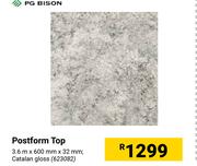 PG Bison Postform Top