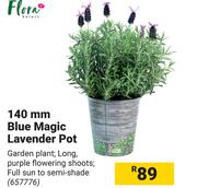 Flora 140mm Blue Magic Lavender Pot