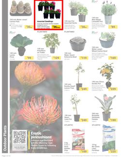 Builders : It's Bloomin Great Gardens Day (10 September - 07 October 2024), page 2