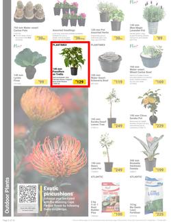 Builders : It's Bloomin Great Gardens Day (10 September - 07 October 2024), page 2
