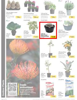 Builders : It's Bloomin Great Gardens Day (10 September - 07 October 2024), page 2