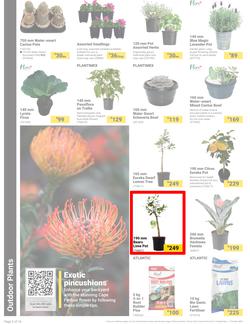 Builders : It's Bloomin Great Gardens Day (10 September - 07 October 2024), page 2