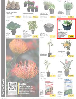 Builders : It's Bloomin Great Gardens Day (10 September - 07 October 2024), page 2