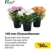 Flora 140mm Chrysanthemum 