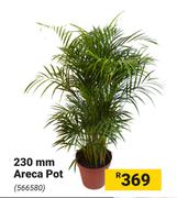 230mm Areca Pot