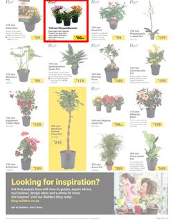 Builders : It's Bloomin Great Gardens Day (10 September - 07 October 2024), page 3