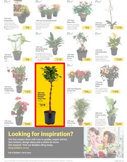 Builders : It's Bloomin Great Gardens Day (10 September - 07 October 2024), page 3