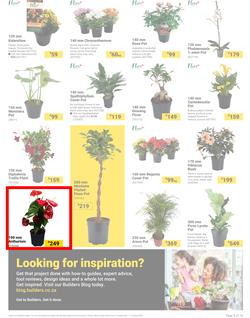 Builders : It's Bloomin Great Gardens Day (10 September - 07 October 2024), page 3