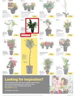 Builders : It's Bloomin Great Gardens Day (10 September - 07 October 2024), page 3