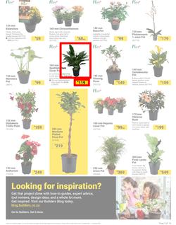 Builders : It's Bloomin Great Gardens Day (10 September - 07 October 2024), page 3