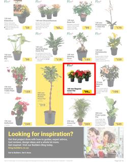 Builders : It's Bloomin Great Gardens Day (10 September - 07 October 2024), page 3