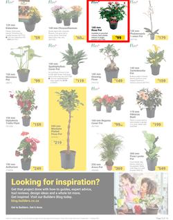 Builders : It's Bloomin Great Gardens Day (10 September - 07 October 2024), page 3
