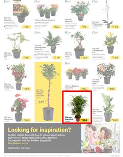 Builders : It's Bloomin Great Gardens Day (10 September - 07 October 2024), page 3